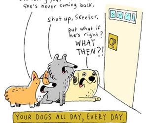 your dogs every day funny picture