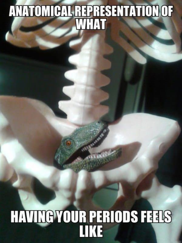 your period funny picture