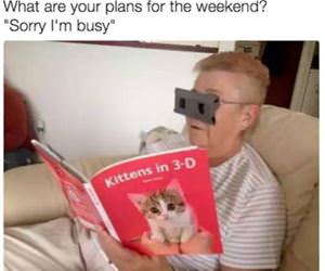 your plans for the weekend funny picture