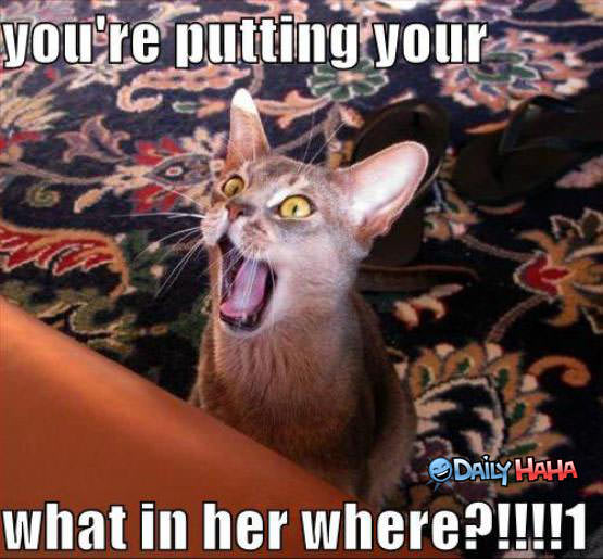 Putting what where funny pic.