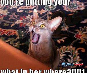 Putting what where funny pic.