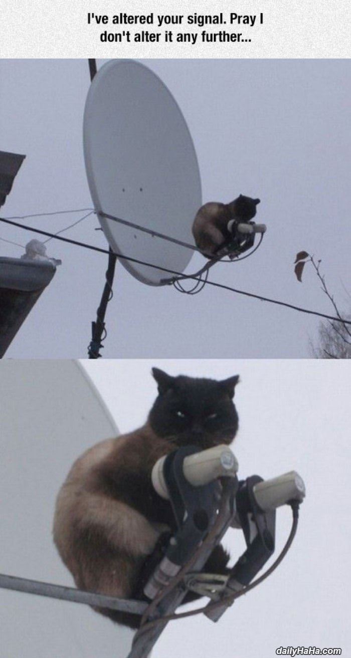 your signal funny picture