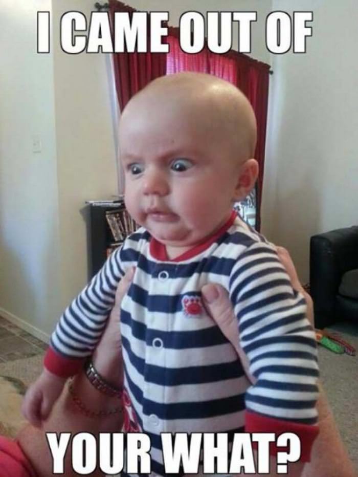 your what now funny picture