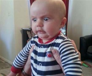 your what now funny picture