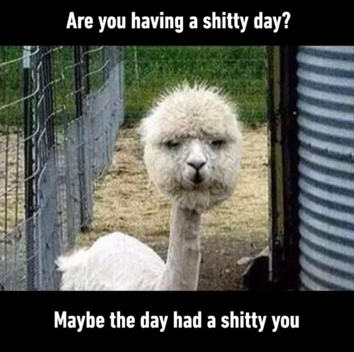 youre-wanting-the-days