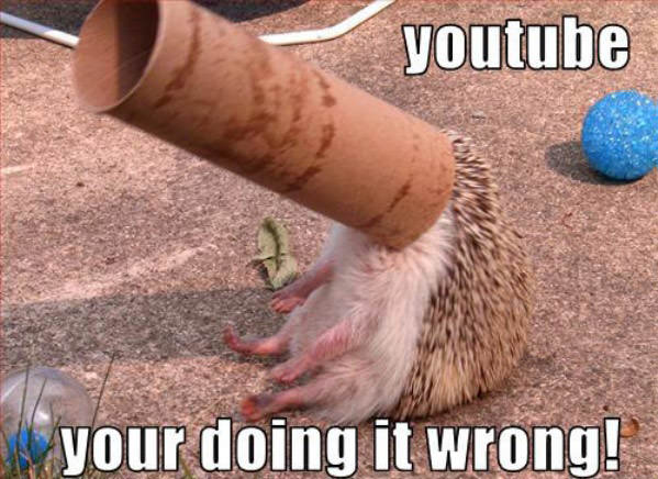 Youtubing funny picture