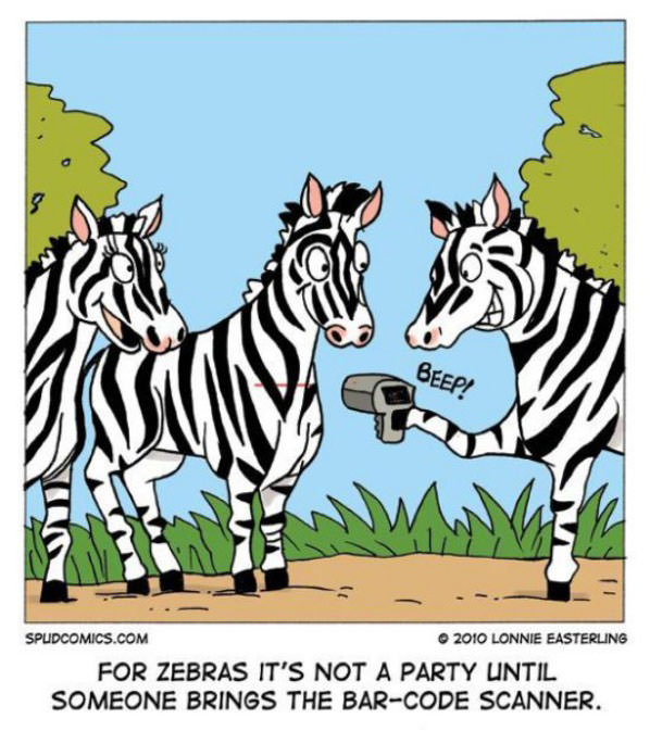 Zebra Party funny picture 