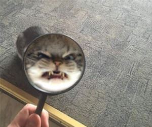 zooming in on the fun part funny picture