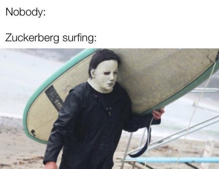 zuckerberg surfing