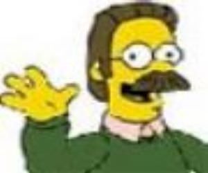 Ned Flanders | The Simpsons