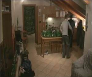 101 Bumblebees , 101 bottles