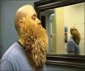 2747 Toothpick Beard Funny Video