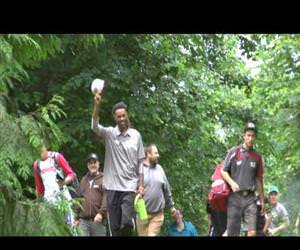 Amazing fling albatross Funny Video