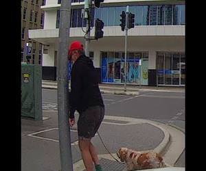 Angry pedestrian gets instant karma Funny Video