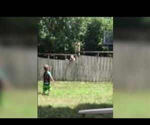 Boys play catch with neighbors dog over fence Funny Video