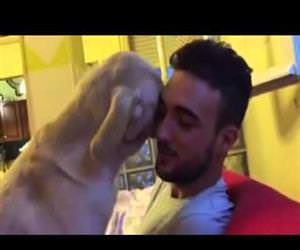 Dog apologizes for doing a bad thing Funny Video