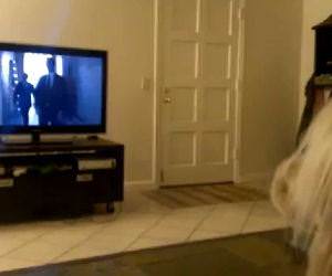 Dog singing opera Funny Video
