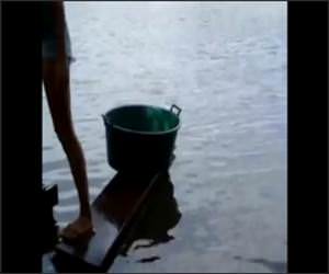 Easily Fish Piranha Funny Video