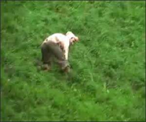 Gloucestershire Cheese Rolling