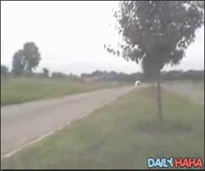 Jump over Moving Car Video