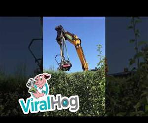 More Than One Way to Trim a Hedge Funny Video