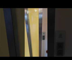 Private elevator opens to reveal random bathroom Funny Video
