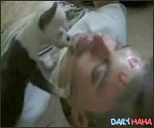 Puppy Licking Drunk Guy