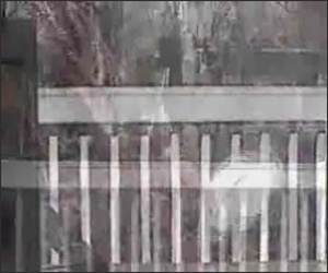 Another Squirrel catapult