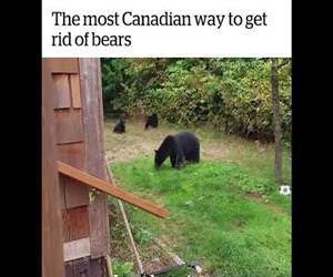 The most Canadian way to get rid of bears Funny Video