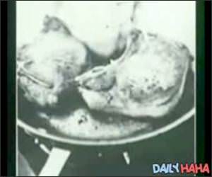 Stuff wrong with the USA