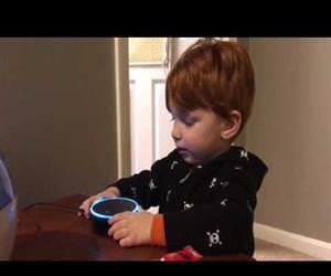 alexa does not understand Funny Video
