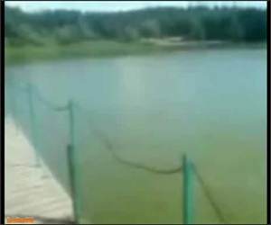 Almost Lake Jump Funny Video