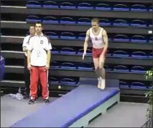  Funny Amazing Flipper Video