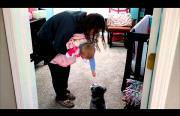 baby loves jumping puppy Funny Video