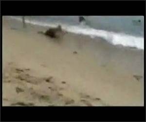 Backflipper Face Busted