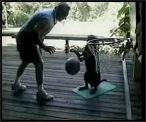 Basketball Playing Dog Funny Video