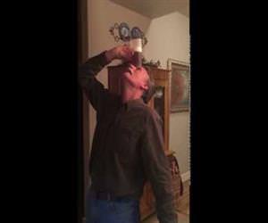 beer yoga Funny Video