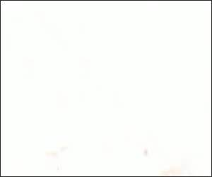 Box of Wine Microwave Funny Video