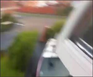 Cat Long Jumper Video