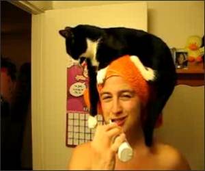 Cat Towel Head Funny Video
