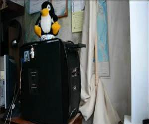 Cat Vs Disk Drive Funny Video