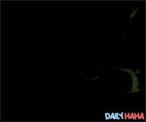 Dj Cat Scratch Video