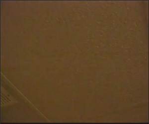 Ceiling Cat Exposed Funny Video