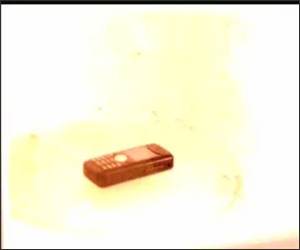 Cell Phone Microwave