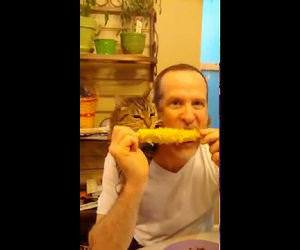 Corn on the Cob Cat Funny Video