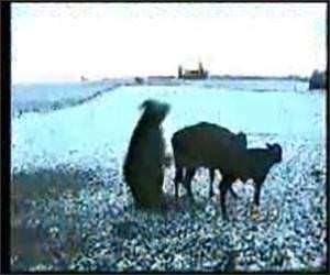 This doesn't work out well