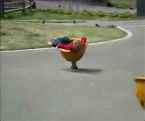 Dizzy Spinning Kid Funny Video