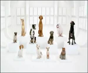 Dog Bark Imperial March Video