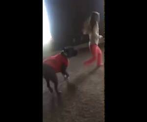 dog copying cartwheels Funny Video