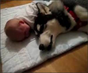 No baby no cry Funny Video